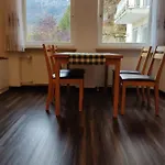 Reichenhall Apartment *